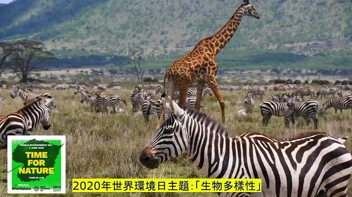 【生态危机】2020年世界环境日主题：维持生物多样性与减缓气候变迁同样急迫 - 天天要闻