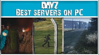 The Best PC Severs on DayZ | NEW 2024