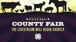 Breeding heifer, feeder calf, and bucket calf shows | 2020 Buffalo County Fair