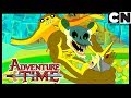 Время приключений | Пересечение | Cartoon Network