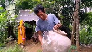 Gentong Ulang Tahun Kang Dodo By Oman Smut