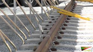 RPV: Gold Plated Ceremonial Shovels