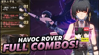 CN Rover Guide - Tier 0 DPS Full Combo Rotations and Animation Cancel screenshot 1