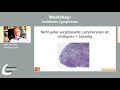 WLAD 2021 - Indolente Lymphome - Prof. Dr. med. Andreas Lohri