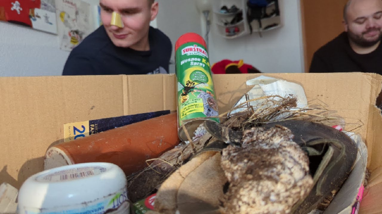 Fanpost des hohen Sonntagsrates