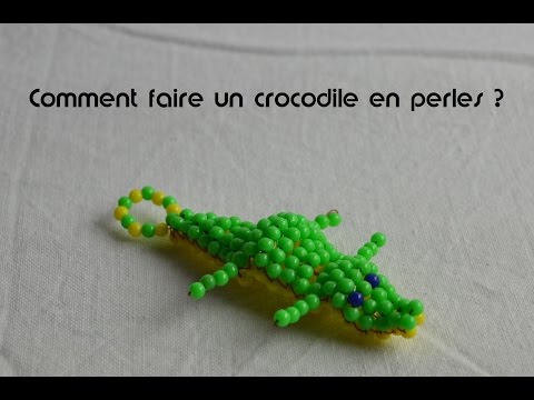 Vidéo: Comment Faire Un Lézard Perlé