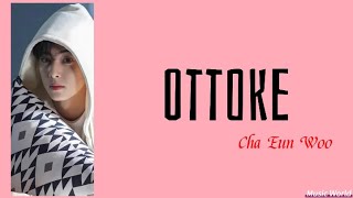 Ottoke - Cha Eun Woo Version (True Beauty Ep.13)