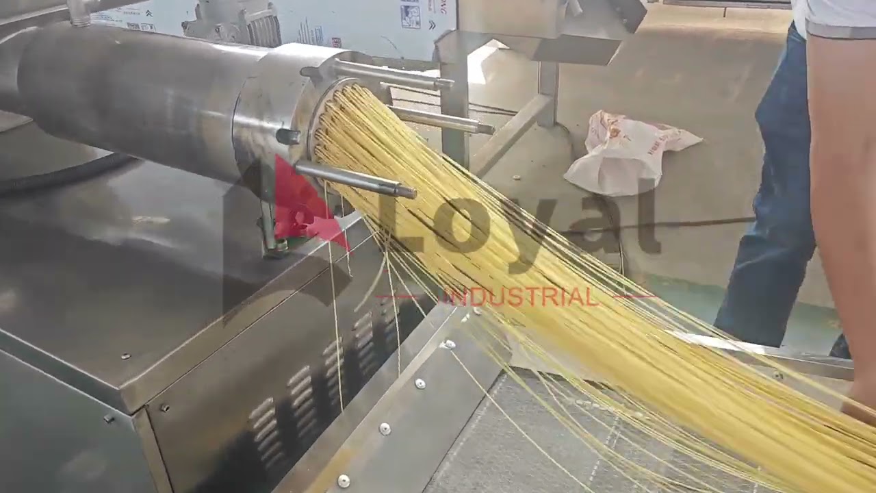 100KG/H Italian Pasta Line | Visiting Our Valued Indian Customers 