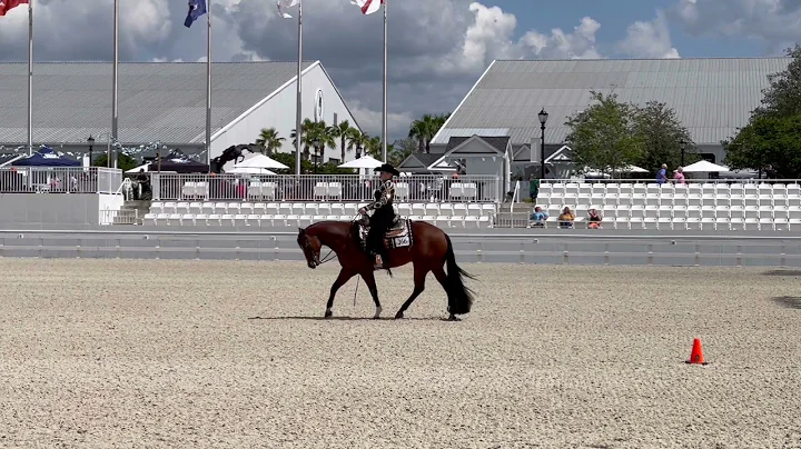 Rebecca McCain 2021 Highlight
