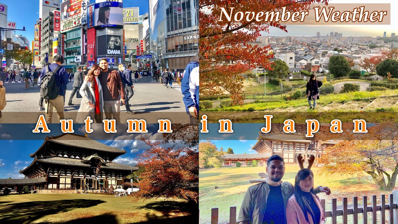 Japan Autumn Highlights November Weather Osaka, Tokyo, Kobe and
