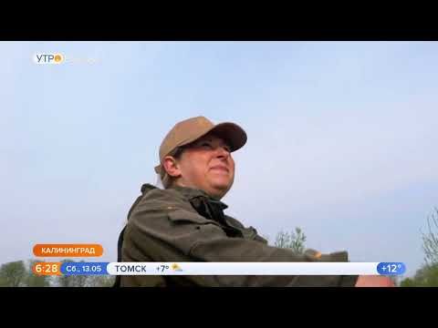 Прямошерстный ретривер. Выпуск "Доброе утро" Россия-1 от 13.05.2023