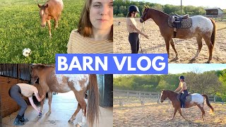 Pony Makeover, Flatwork, and New Trick! 🐴 | Barn Vlog