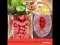 MAGANIN OLSA ULCER