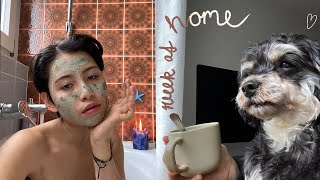 VLOG: cozy days at home, halloween vibes and autumnal walks