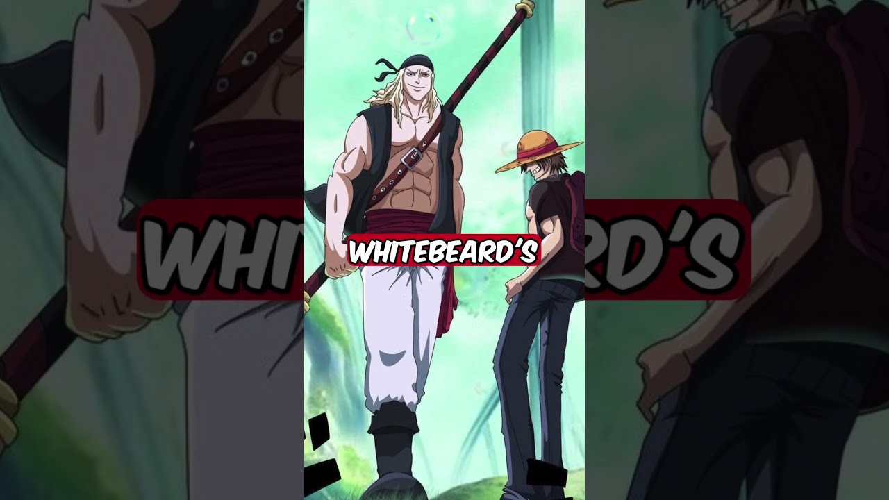 Garling Figarland Was The Man Who Scarred Whitebeard One Piece Theory Anime