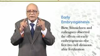 BIO731_Topic206
