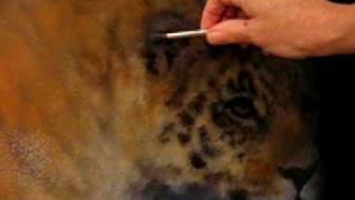 Beginning The Leopards Ear