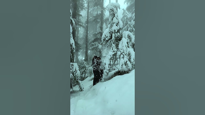 Winter days in Manali with horror jungle #snowfall #jungle #trendingshorts