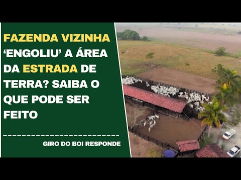 FAZENDA VIZINHA 