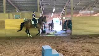 Pendleton Gb Learning The Ropes Of Riding 05.2024