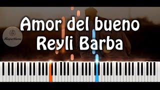 Video thumbnail of "Reyli Barba - Amor del bueno Piano Cover"