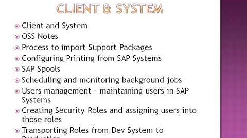 sap netwear training/basis training@magnific(+91 9052666559)