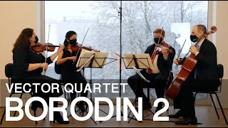 Borodin String Quartet No. 2 (Vector Quartet)