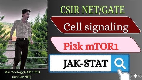 JAK-STAT Signaling|AkT-mTor1 Pathway|Cell signaling for GATE 2026|CSIR NET 2026
