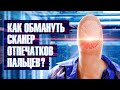 Экспериментируем с отпечатками пальцев. Технобайки Амперки