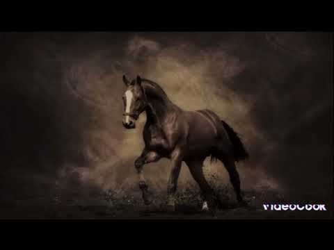 ياهاجسي انضم حروف القاسيات جديد