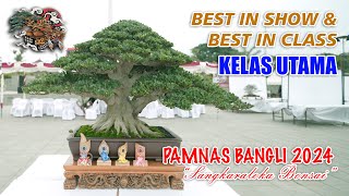 BEST IN SHOW & BEST IN CLASS UTAMA @PAMNASBONSAIBANGLI2024