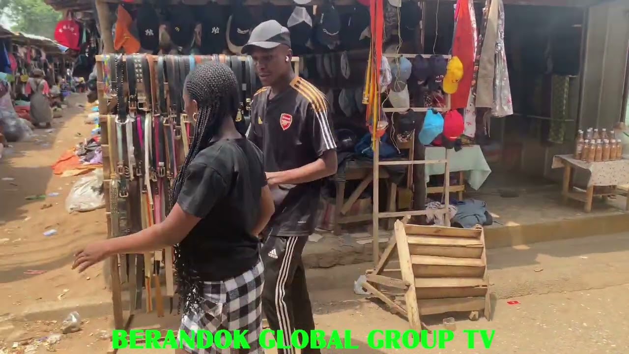 Le Voleur Professionnel 1