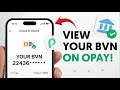 How To See Your BVN On Opay
