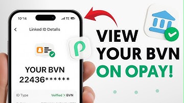 How To See Your BVN On Opay
