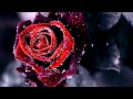 Kotkan ruusu - Eino Grön