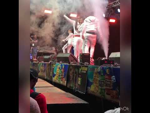 Best Performance of TeamMadada (part 2)