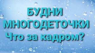 Будни Многодеточки/Обзор.