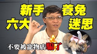 5分鐘破解養兔6大迷思，別再被寵物店騙啦｜幣寶養兔教學系列 ... 