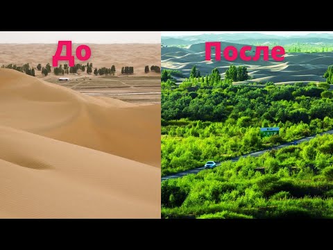 Видео: Что такое бесплодная пустыня?