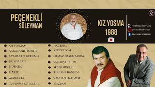 Peçenekli Süleyman - 1988 Ah Yosmam Resimi