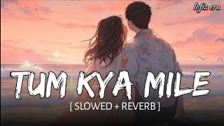 Tum kya Mile (Slowed+ Reverb) || Arijit Singh, Sherya  Ghoshal || lofiz era