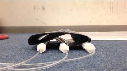 Undulating Capability Test