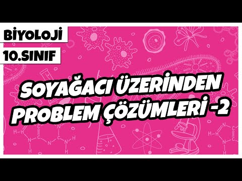 10. Sınıf Biyoloji - Soyağacı Üzerinden Problem Çözümleri -2