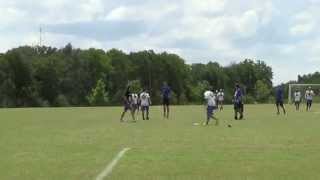 Sectionals 2014 - Space City Eclipse v. Hypnotoad