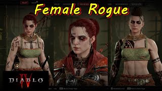 Diablo 4, Female most beautiful cute Rogue, character customization