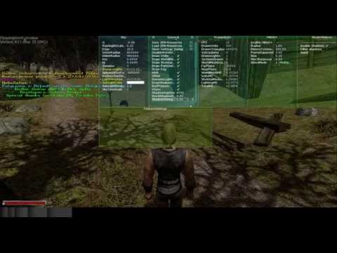 Gothic Online with DirectX 11 mod