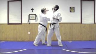 Shinsei Hapkido Cane
