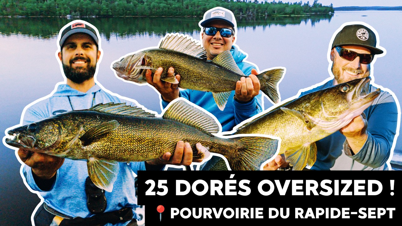 Dorés 𝑂𝑉𝐸𝑅𝑆𝐼𝑍𝐸𝐷 sur le réservoir Decelles | Roadfish - Saison 10 - Ép.1