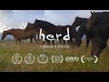 Herd  a spiritual journey full award winning documentary