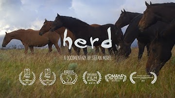 HERD - A Spiritual Journey. FULL AWARD WINNING DOCUMENTARY!